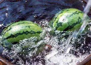 渑池县吃瓜,瓜果飘香，品味田园生活