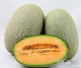 肾阳虚吃哈密瓜,哈密瓜的养生之道