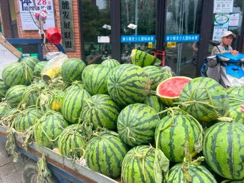 带你吃瓜跳水,揭秘娱乐圈的欢乐与泪水