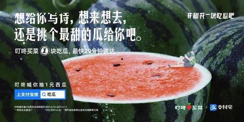 吃珍珠瓜文案怎么写,尽享夏日清新美味之旅