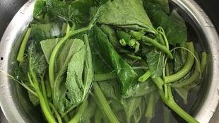 蓝瓜叶怎么吃,蓝瓜叶的多样食用方法探索