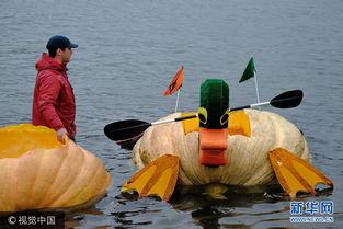 小梁吃瓜泊舟,一场别开生面的夏日闲情