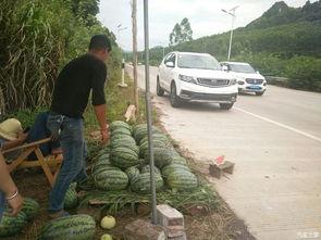 自带凳子的吃瓜,畅享吃瓜盛宴