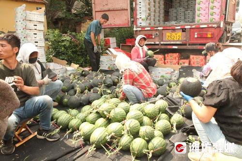 米粒前线吃瓜,揭秘娱乐圈吃瓜背后的真相与内幕