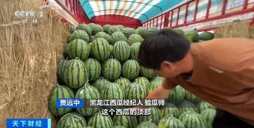 奉节吃瓜教师招聘,一场别开生面的招聘盛宴