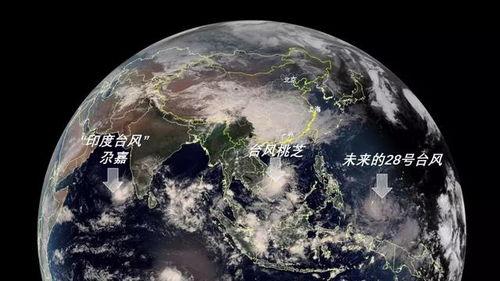 吴川吃瓜视频完整