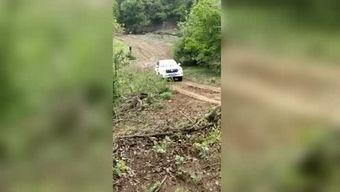 电影前排吃瓜,揭秘电影前排的神秘世界