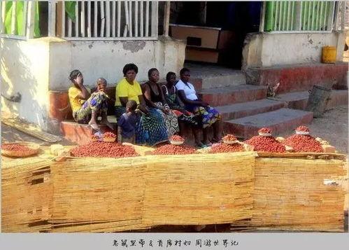 马拉维吃瓜视频,揭秘当地生活百态