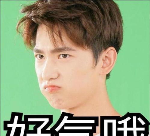 吃瓜少女张小寒杨洋原图,瓜田里的甜蜜邂逅