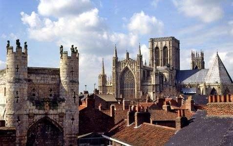 吃瓜约克大学,一场关于‘吃瓜的校园风云录”