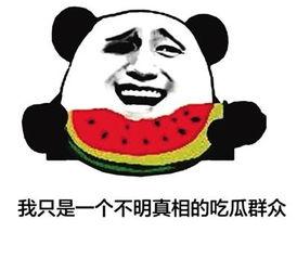 憨憨吃瓜群众,揭秘网络热议背后的趣味与真相