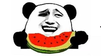 吃瓜上瘾,网络时代下的娱乐狂欢与心理探秘