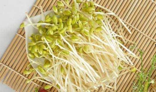 蚂蚁和豆芽吃瓜