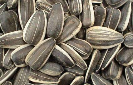 孕期吃籽瓜,孕育健康宝宝的秘密食材