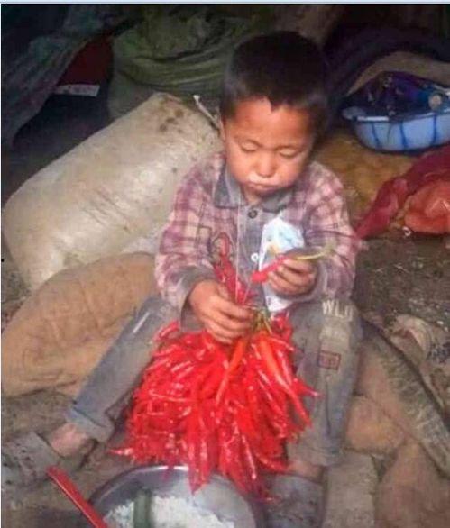 爸爸吃辣椒妈妈吃土瓜视频,爸爸辣椒妈妈土瓜的温馨食趣