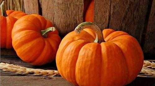 什么瓜适合冬天吃,冬季适宜食用的瓜类盘点