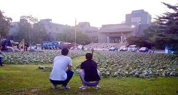 河池学院吃瓜事件,揭秘校园网络暴力背后的真相