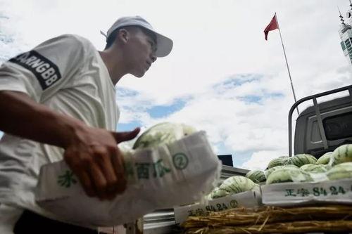 吃瓜群众视频最新,揭秘娱乐圈最新热点事件