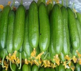 吃瓜小柠檬吃瓜,揭秘娱乐圈那些事儿