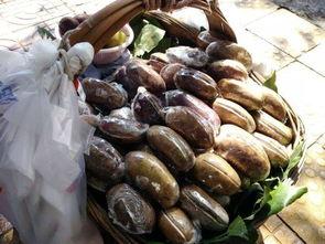 坐地下吃瓜,坐地吃瓜的悠闲时光