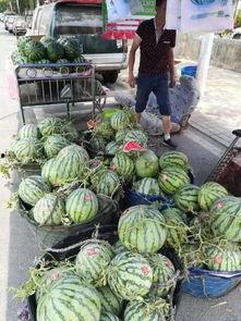 丰县西城吃瓜事件视频,一场引发社会关注的网络风波