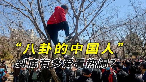 缅甸吃瓜大妈事件,一场引发国际关注的网络风波